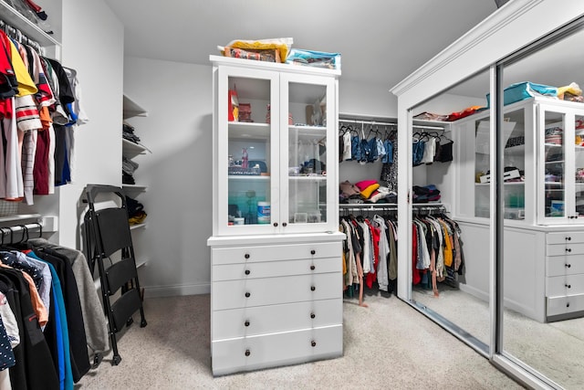 view of walk in closet