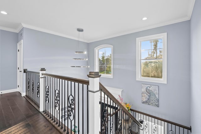 hallway featuring ornamental molding, dark wood-type flooring, and an inviting chandelier