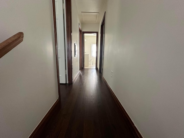 hallway featuring dark hardwood / wood-style floors