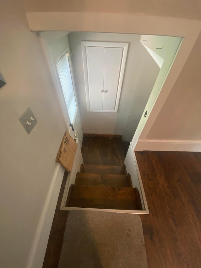 staircase featuring hardwood / wood-style flooring