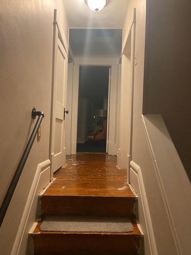 staircase with hardwood / wood-style flooring