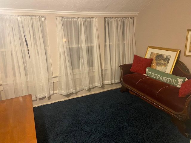 living room with carpet and a textured ceiling