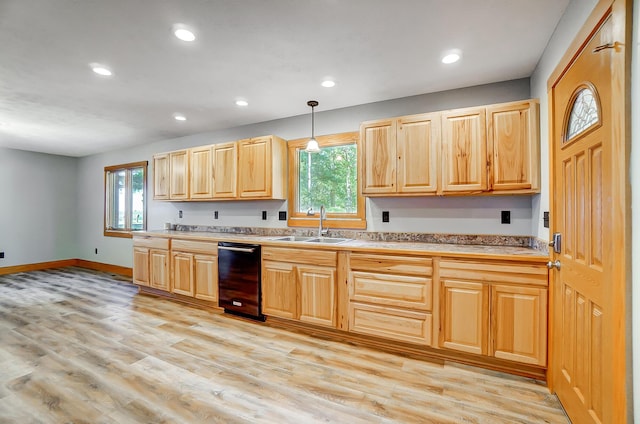 kitchen featuring sink, a healthy amount of sunlight, decorative light fixtures, and light wood-type flooring