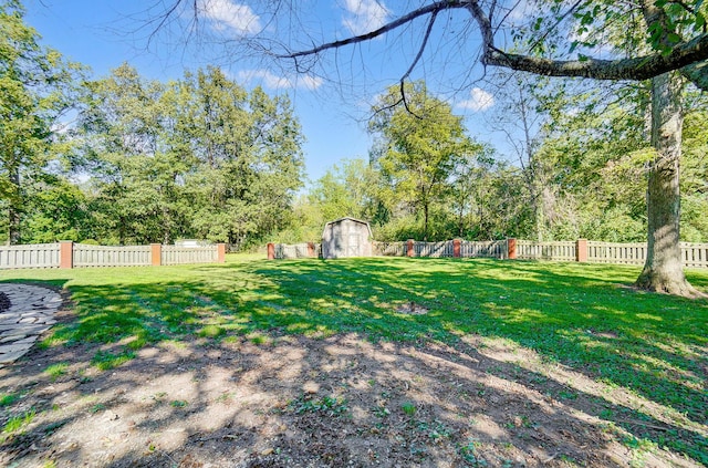 view of yard featuring a storage shed