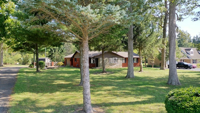 ranch-style house featuring a front yard