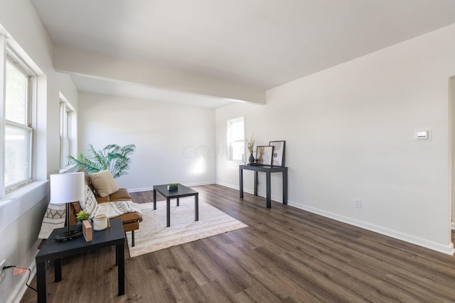 living area with plenty of natural light and dark wood-type flooring