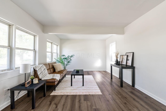 living room featuring dark wood-type flooring