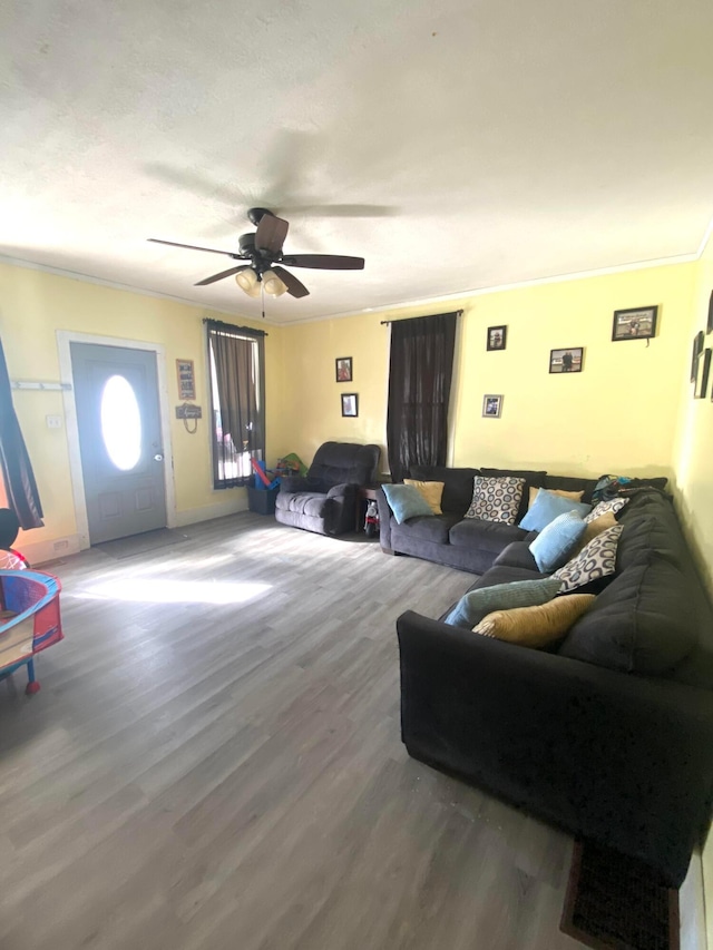 living room with ceiling fan, wood-type flooring, and ornamental molding