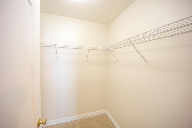 walk in closet featuring carpet flooring