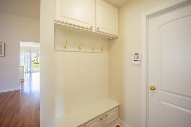 mudroom with dark hardwood / wood-style floors