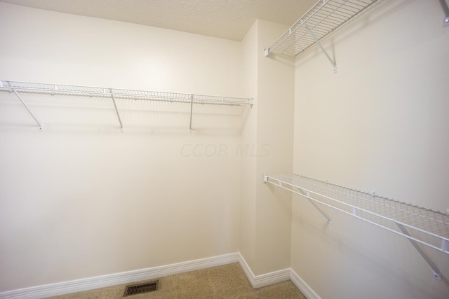 spacious closet with carpet flooring