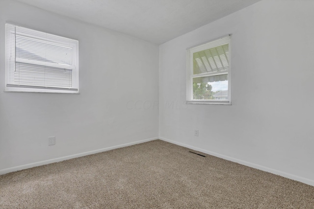 empty room featuring carpet flooring and a healthy amount of sunlight