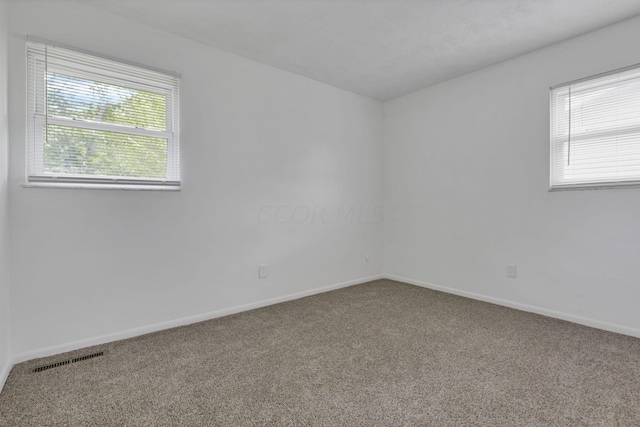 unfurnished room featuring carpet and a wealth of natural light