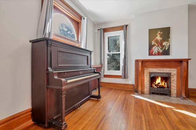 misc room featuring light hardwood / wood-style flooring and a stone fireplace