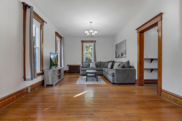 living room with a chandelier, wood-type flooring, and radiator