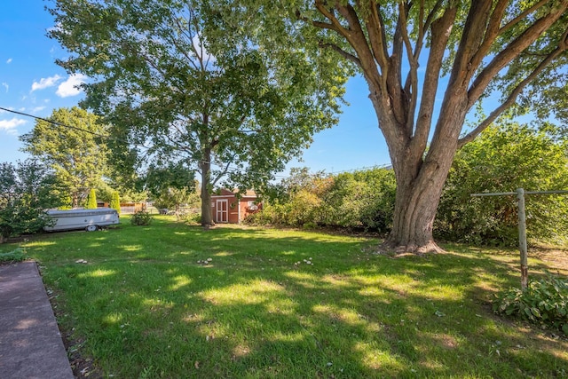 view of yard featuring a shed