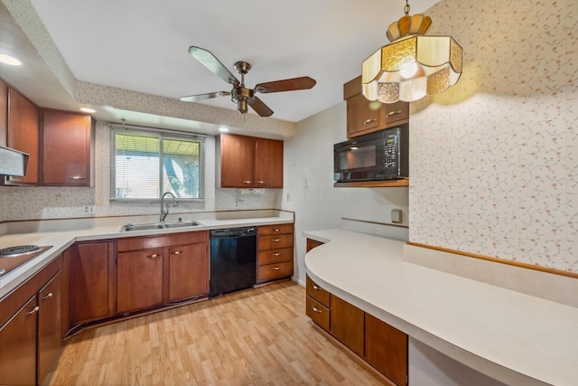 kitchen with black appliances, ceiling fan, light wood-type flooring, and sink