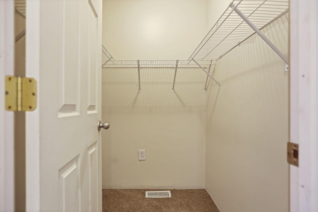 spacious closet featuring carpet flooring