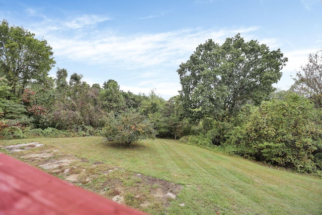 10295 Lookout Rd SW, Lancaster, OH 43130 - photo 41