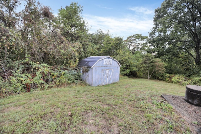 view of yard with a storage shed