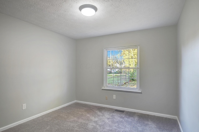 unfurnished room with carpet floors and a textured ceiling