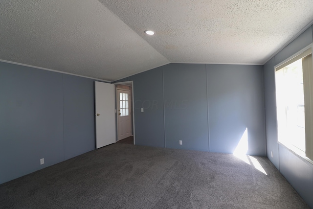 additional living space featuring plenty of natural light, carpet floors, a textured ceiling, and vaulted ceiling