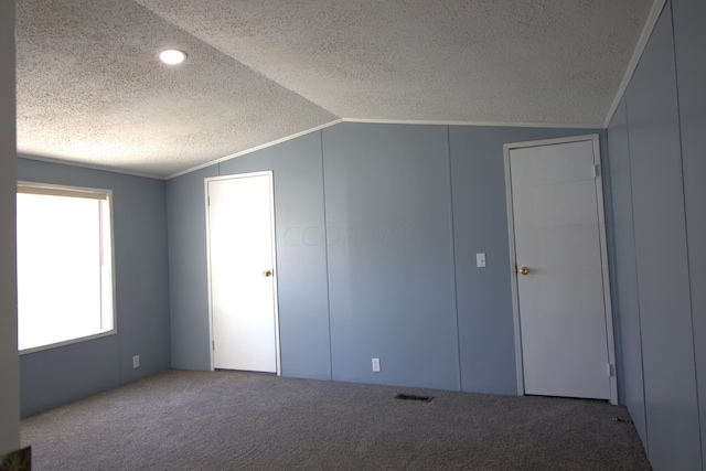 additional living space featuring a textured ceiling, carpet, and vaulted ceiling