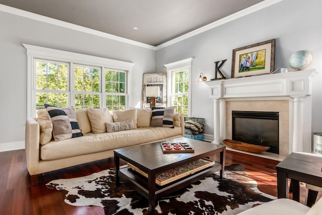 living room with crown molding and dark wood-type flooring