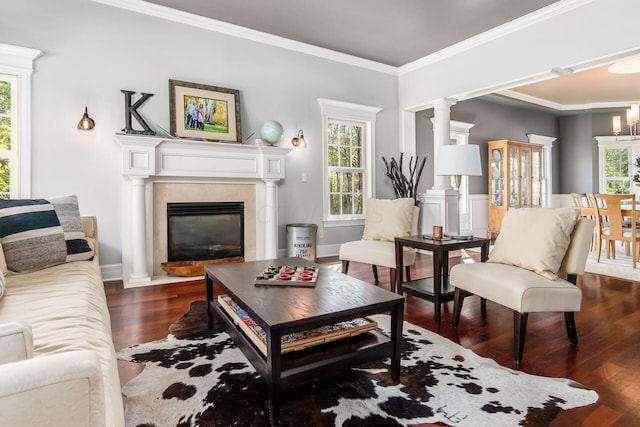 living room featuring dark hardwood / wood-style floors, ornamental molding, and a chandelier