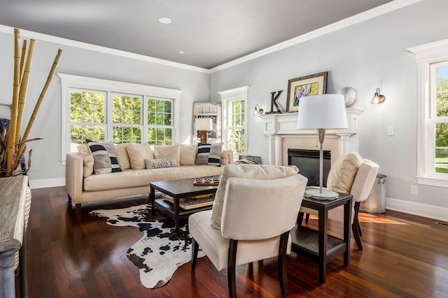 living room with a fireplace, ornamental molding, and dark wood-type flooring