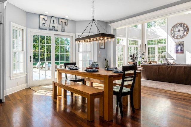 dining area with a healthy amount of sunlight and dark wood-type flooring