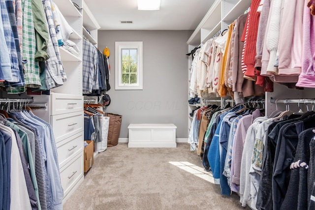 walk in closet with light colored carpet