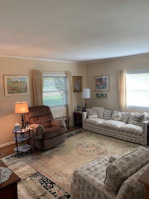 living room featuring hardwood / wood-style flooring, a healthy amount of sunlight, and crown molding