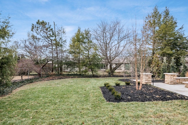 view of yard with a patio