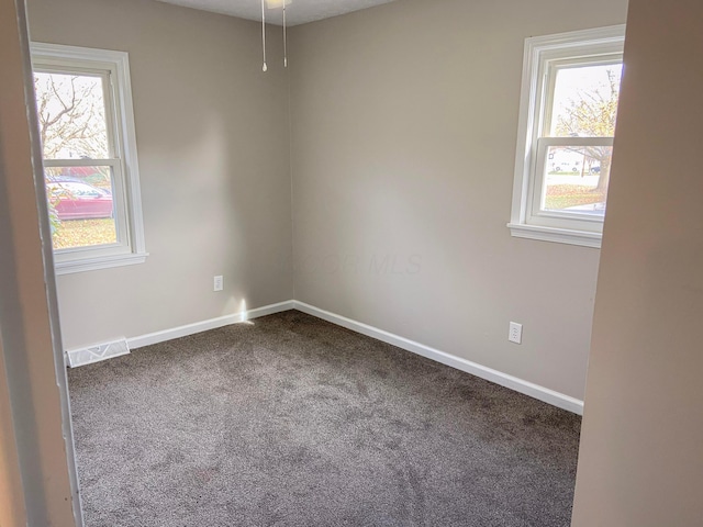 carpeted spare room with a healthy amount of sunlight