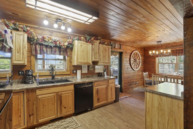 kitchen featuring sink, black dishwasher, decorative light fixtures, wooden walls, and light wood-type flooring