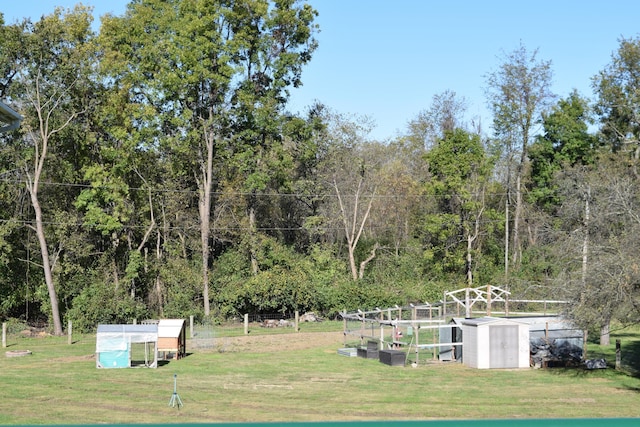 view of yard featuring a storage shed