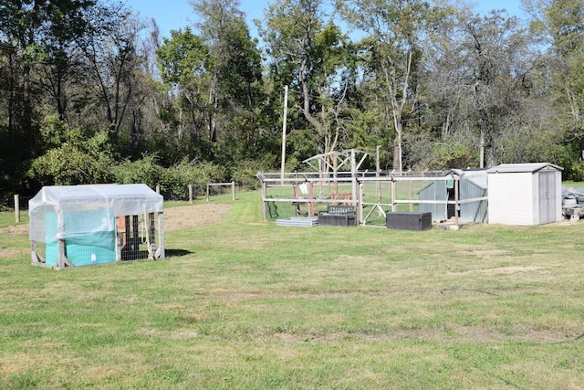 view of yard featuring a shed