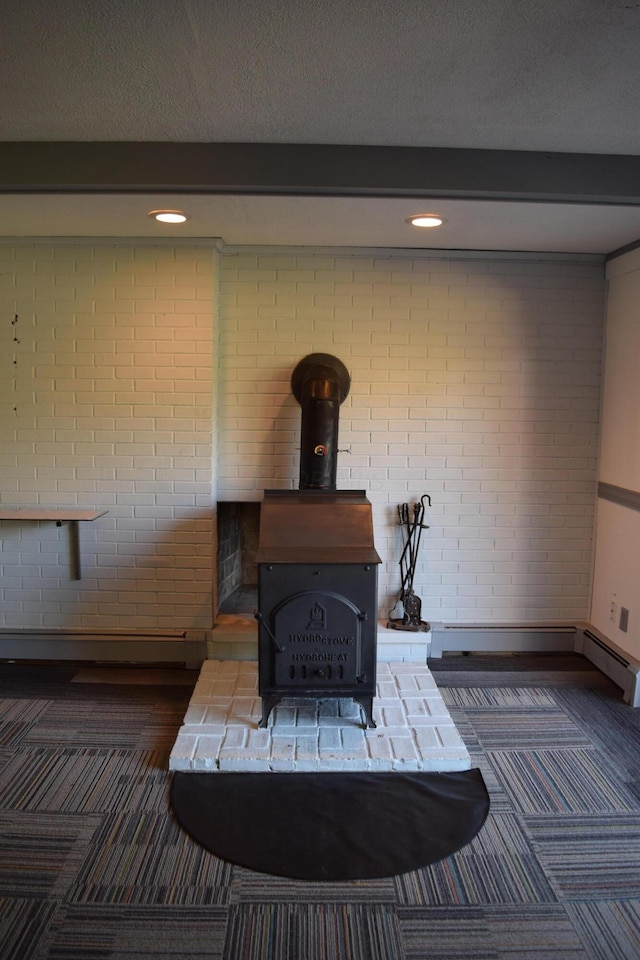 interior details featuring carpet and a wood stove