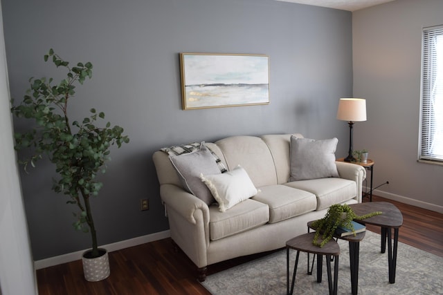 living room featuring dark wood-type flooring