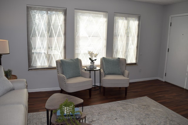 living area featuring dark hardwood / wood-style flooring