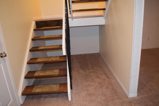 stairway with carpet