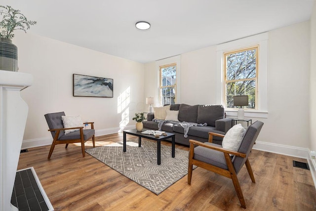 living room featuring hardwood / wood-style flooring