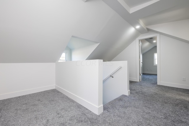 additional living space featuring carpet and vaulted ceiling