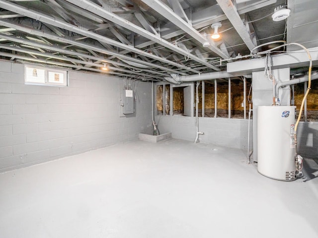 basement featuring electric panel and gas water heater