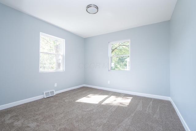 spare room featuring carpet floors and a wealth of natural light