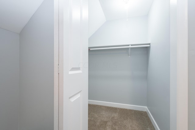 walk in closet with lofted ceiling and carpet floors