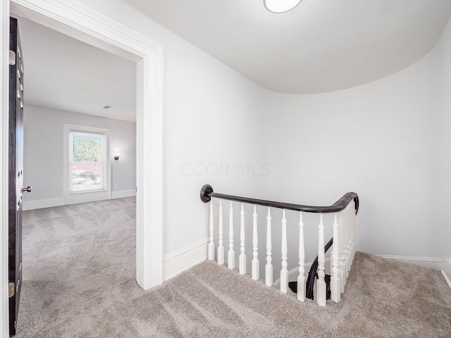 stairs featuring carpet floors