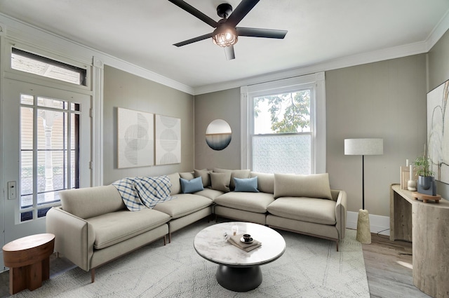 living room featuring ceiling fan, light wood-type flooring, and ornamental molding