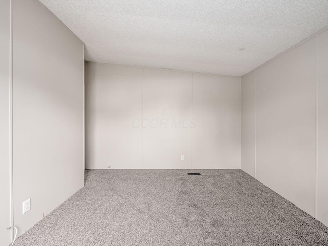 spare room featuring carpet and a textured ceiling